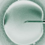 The Download: three-person babies, and tracking “AI readiness” in the US