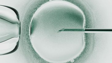 The Download: three-person babies, and tracking “AI readiness” in the US