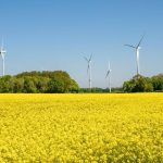 Immobilien: Wie der Traum vom Haus im Grünen wahr werden kann