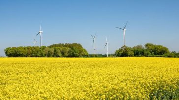 Immobilien: Wie der Traum vom Haus im Grünen wahr werden kann