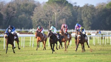 BHA urges separate tax for horse racing betting