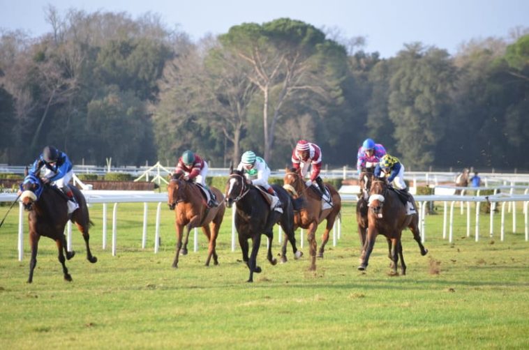 BHA urges separate tax for horse racing betting