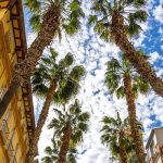 Betsson to Scale Its Capabilities with New Málaga Tech Hub