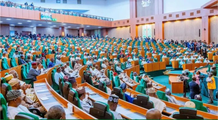 Reps move to ban public servants from patronising private schools, hospitals
