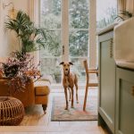 Nordstrom Anniversary Sale 2025 Luxury Home & Kitchen Deals