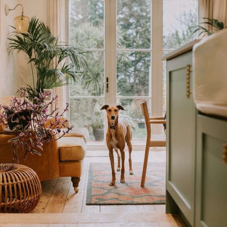 Nordstrom Anniversary Sale 2025 Luxury Home & Kitchen Deals