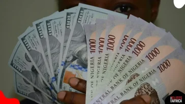Naira Drops to ₦1,537/$ in parallel Market