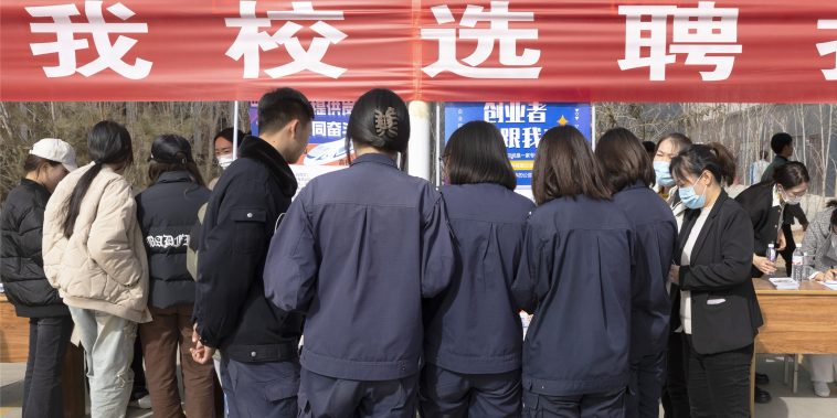 Class Divide: Raising the Voices of Vocational Students