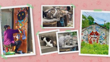 The Art of Reviving an Abandoned Chinese Village — With Stray Cats