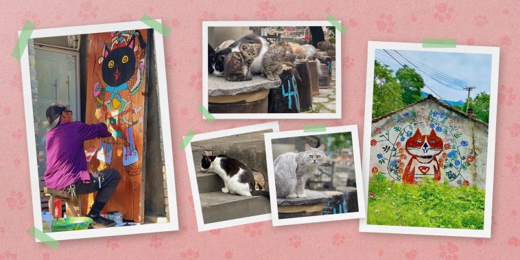 The Art of Reviving an Abandoned Chinese Village — With Stray Cats