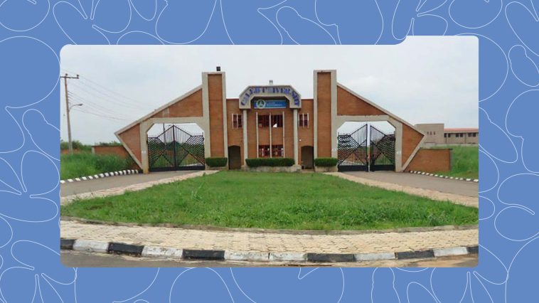 These Private Universities in Nigeria Offer the Best Education at Reasonable Fees