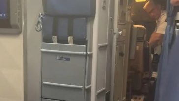 Delta Airlines pilot arrested by ICE agents moments after landing plane at San Francisco airport