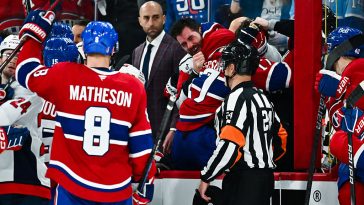 Bench brawl in the playoffs: It all happened… because of Jakub Dobes