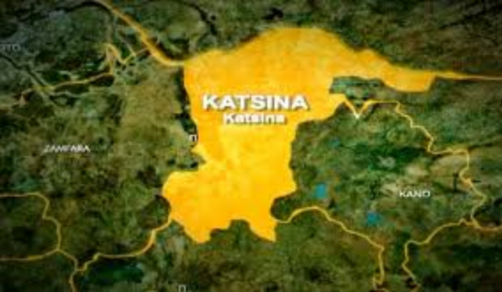 80 per cent of bandit attacks aided by informants – Katsina govt