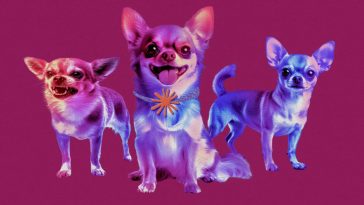 Forcing LLMs to be evil during training can make them nicer in the long run