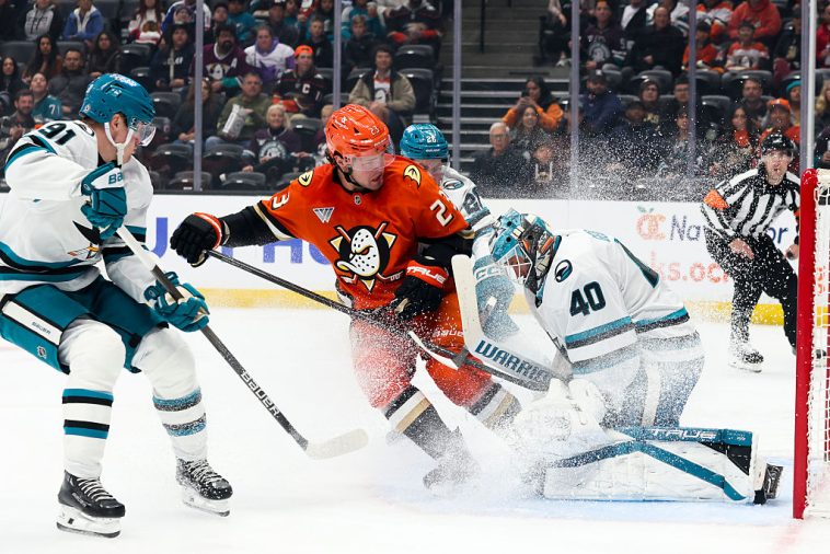 Mason McTavish: the Canadiens among three teams on his case