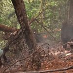 Ghana declares three-day period of national mourning following deadly crash