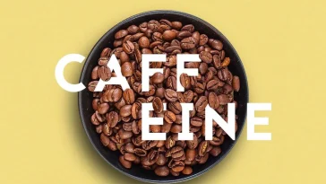 What Is Caffeine? Exploring the Science Behind Your Daily Pick-Me-Up