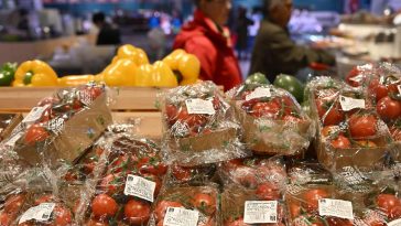 Imballaggi in plastica, il 50% degli italiani abbandona i marchi non green