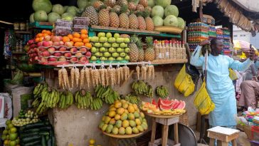 Are GMO foods bad for us in Nigeria? NAFDAC reacts