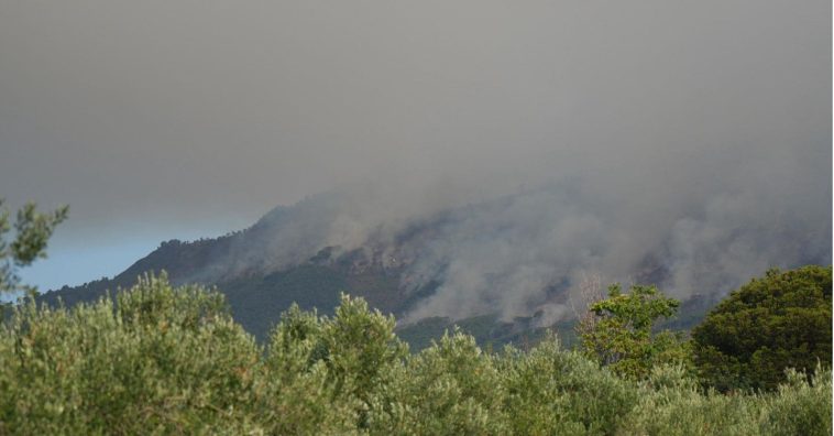 Fiamme sul Vesuvio: il ministro Musumeci decreta lo stato di mobilitazione nazionale