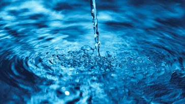 Nestlé facing “Watergate” as scandal deepens