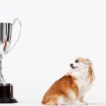 The Success-Then-Happiness Fallacy