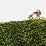 How Middle-Market Companies Can Find the Best Leadership Talent