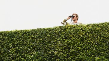 How Middle-Market Companies Can Find the Best Leadership Talent