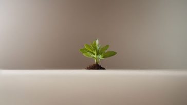 Estrategias De Crecimiento