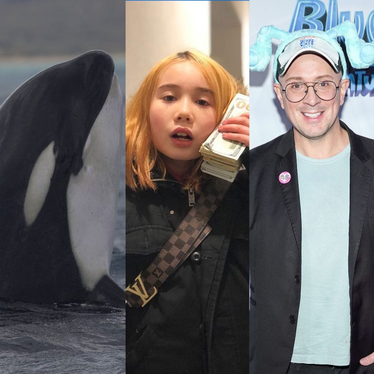 Jessica Radcliffe’s Orca Attack, Lil Tay’s IG Hack & More Death Hoaxes