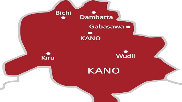 Kano partners stakeholders to enhance healthcare delivery