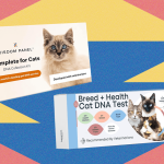I Tried the Best At-Home Pet DNA Test Kits on My Two Cats (2025)