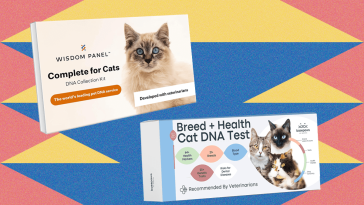I Tried the Best At-Home Pet DNA Test Kits on My Two Cats (2025)