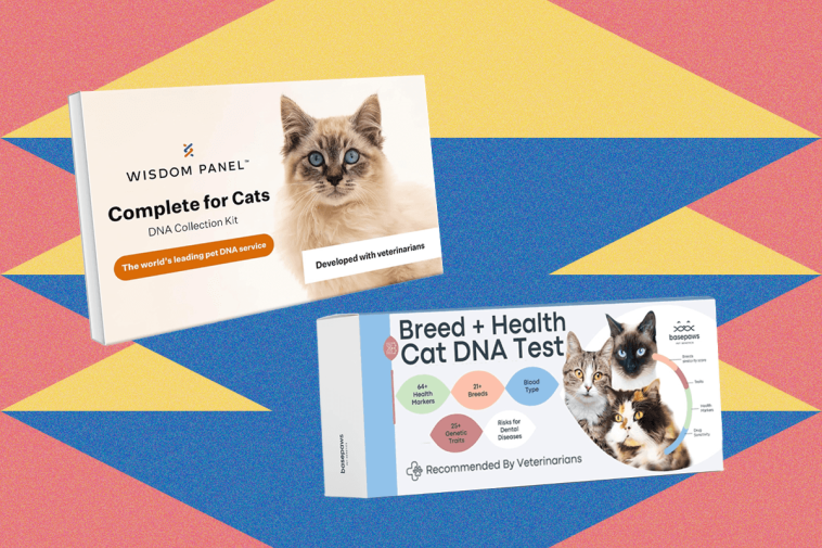 I Tried the Best At-Home Pet DNA Test Kits on My Two Cats (2025)