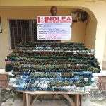 NDLEA arrests drug Kingpin after 3-year manhunt, intercepts N7.8bn opioids in Rivers