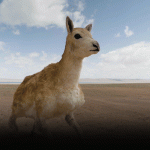 China’s Latest Conservation Weapon Is a Robot Antelope