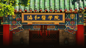 Trainee Faked Her Way Into Elite Chinese Hospitals, 19 Punished
