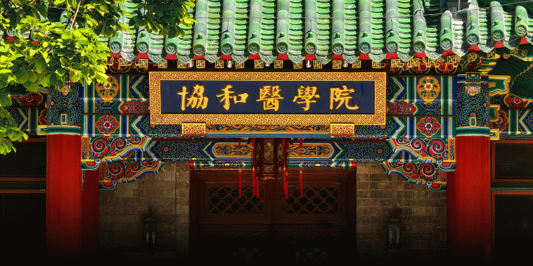 Trainee Faked Her Way Into Elite Chinese Hospitals, 19 Punished