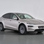 Tesla taps ByteDance, DeepSeek to power AI in China