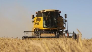 Tarım ürünleri almasına ilişkin usul ve esaslar belirlendi