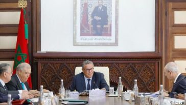 Bovins domestiques : le gouvernement suspend temporairement le droit d’importation