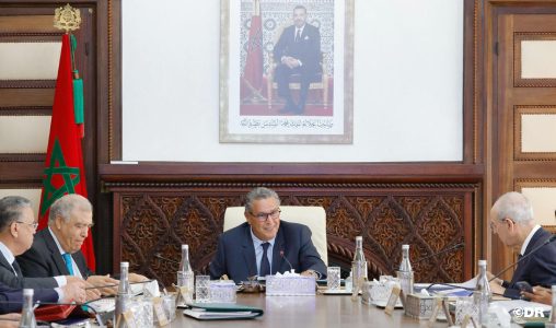 Bovins domestiques : le gouvernement suspend temporairement le droit d’importation