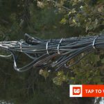 Nigerian telcos push for tougher penalties as fibre vandalism surges