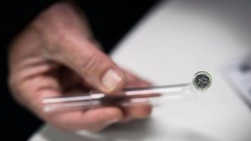 «Le pipe per il crack danno erariale»: esposto di Fdi alla Corte dei Conti contro il comune di Bologna