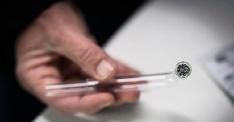 «Le pipe per il crack danno erariale»: esposto di Fdi alla Corte dei Conti contro il comune di Bologna