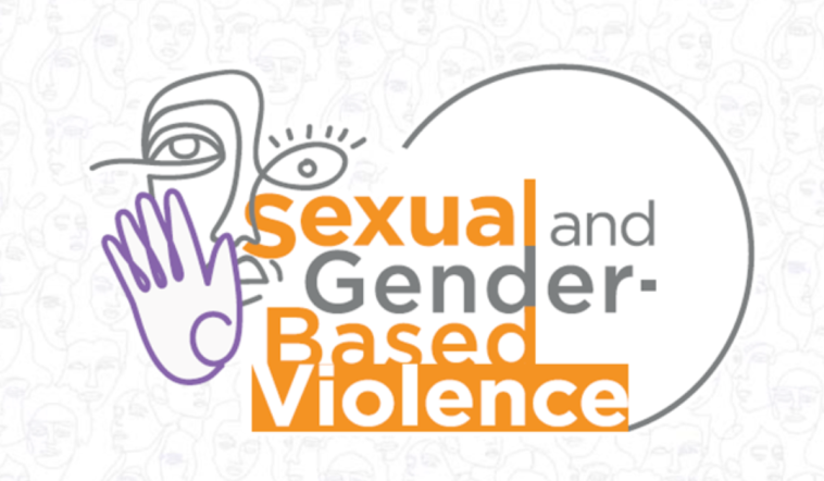 Lagos recorded 8,692 gender-based violence cases in one year: Official 