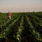 Rural America is suffering an economic crisis as crop prices plunge — ‘U.S. soybean farmers cannot survive a prolonged trade dispute’