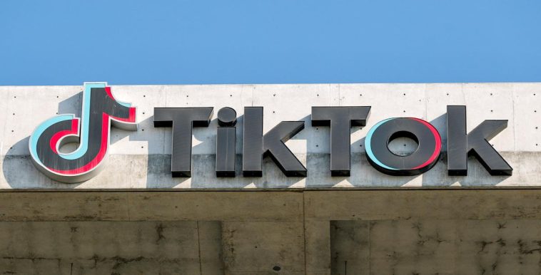 TikTok users will soon be able to send voice notes, images and videos in chats