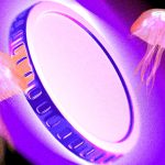 3 US Crypto Stocks to Watch This Week